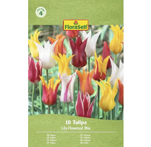 FloraSelf Tulpen Leliebloemige Mix verpakking