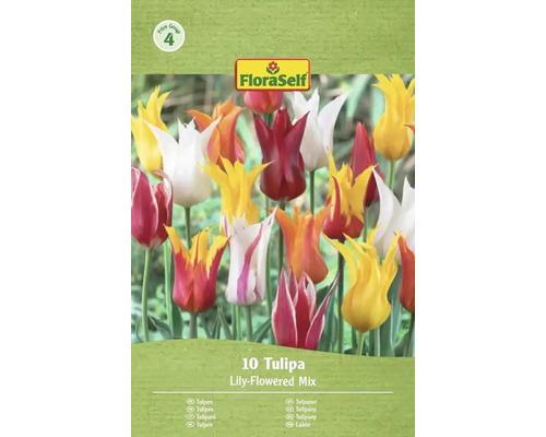 FloraSelf Tulpen Leliebloemige Mix verpakking
