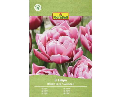 FloraSelf Tulpen Double Early Columbus, 8 stuks