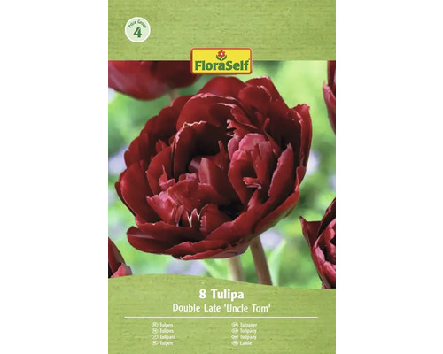 Verpakking met 8 tulpen van de soort Double Late 'Uncle Tom' van FloraSelf