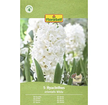 Verpakking met 5 witte hyacinten van de soort orientalis van FloraSelf