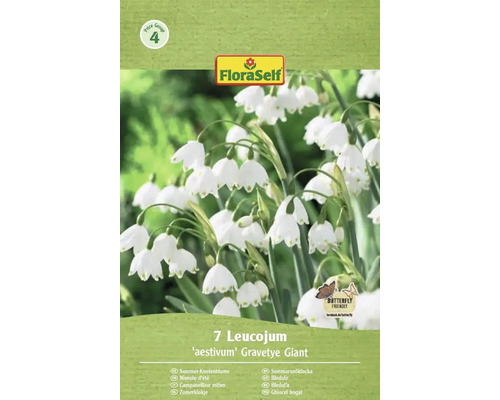 Verpakking met zeven zomerklokjes van de soort 'aestivum' Gravetye Giant met Butterfly Friendly keurmerk en FloraSelf logo