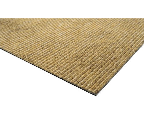 Design61 50x Tapijtspijkers 3x30mm Messing - Voor Kokos- En Sisallopers