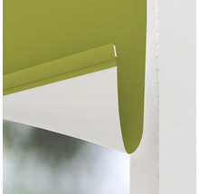 Groen kleurig rolgordijn voor binnenshuis