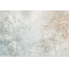 Geschilderde muurschildering met gipskruidmotief