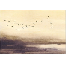 Illustratie met zwerm vogels voor een bewolkte hemel