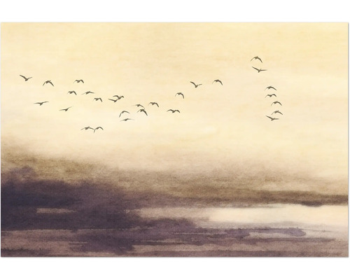 Illustratie met zwerm vogels voor een bewolkte hemel