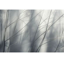 Decoratieve takken tegen een vage achtergrond