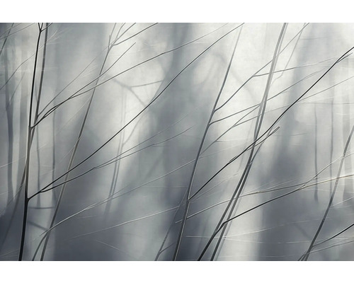 Decoratieve takken tegen een vage achtergrond