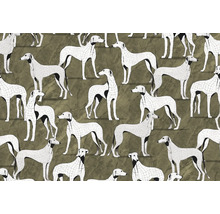 Patroon met windhonden