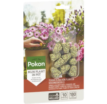 Pokon mestkegels voor terras- en balkonplanten, 10 stuks
