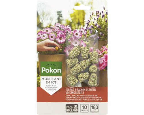 Pokon mestkegels voor terras- en balkonplanten, 10 stuks voor 180 dagen voeding