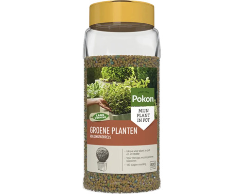 Pokon Groene Planten voedingskorrels in transparante pot met gele deksel