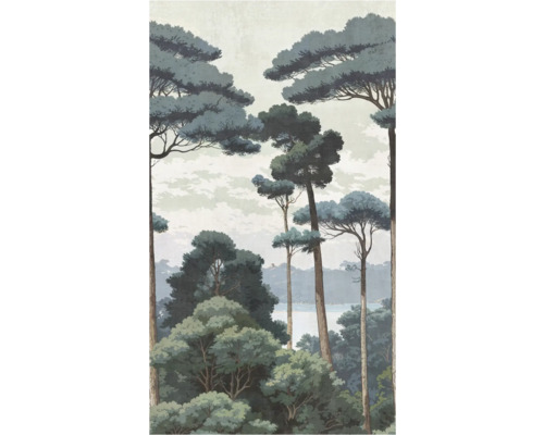 A.S. CRÉATION Fotobehang vlies 79015-6 natuur wolken 159x280 cm Behang met bosmotief en boomafbeeldingen