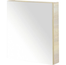 Spiegelkast met houten frame