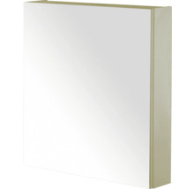 Spiegelkast voor de badkamer