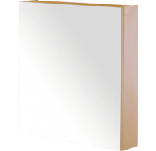 Spiegelkast voor de badkamer