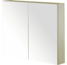 Spiegelkast met twee deuren