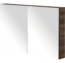 Spiegelkast met twee spiegeldeuren