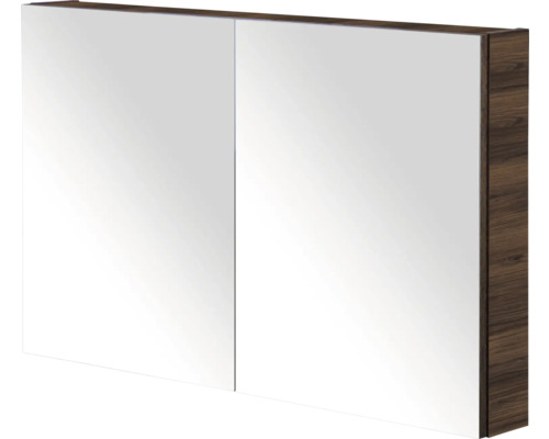 Spiegelkast met twee spiegeldeuren