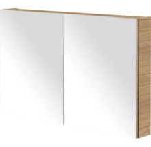 Spiegelkast met twee deuren en houten frame