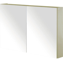 Spiegelkast met twee deuren