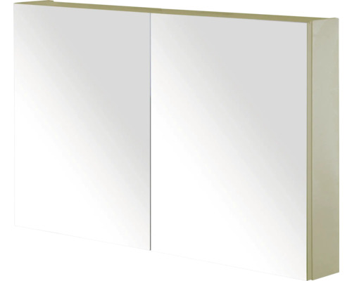 SANOX Spiegelkast met twee deuren enkelzijdig 100x65x13 cm olive Spiegelkast met twee deuren