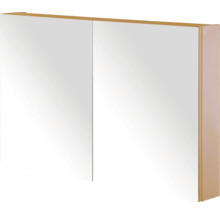 Spiegelkast met twee deuren voor de badkamer