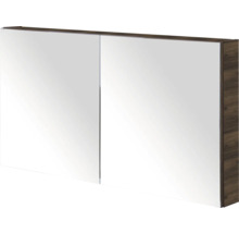 Spiegelkast met twee deuren