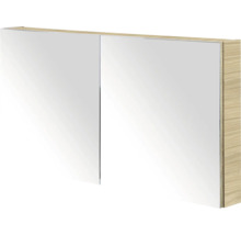 Spiegelkast met twee spiegeldeuren