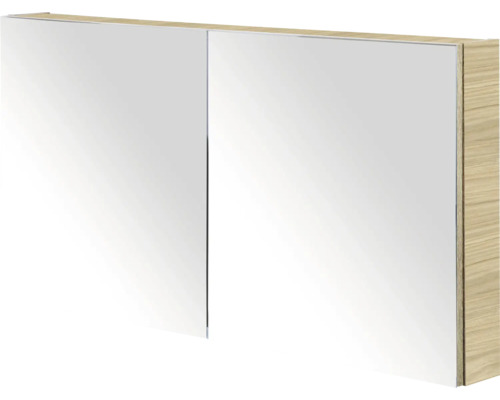 Spiegelkast met twee spiegeldeuren