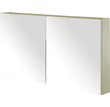 Spiegelkast met twee deuren voor de badkamer