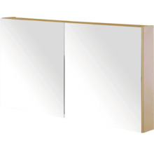 Spiegelkast met twee deuren voor de badkamer