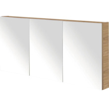 Spiegelkast met drie deuren voor de badkamer