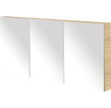 Spiegelkast met drie deuren