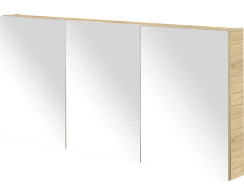 Spiegelkast met drie deuren