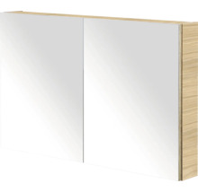 Spiegelkast met twee deuren en houten decor