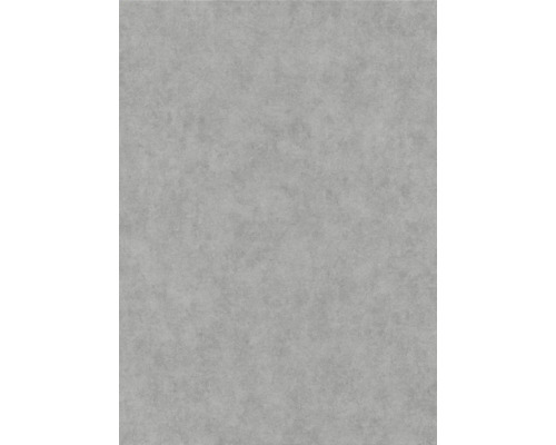 ERISMANN Vliesbehang 10473-10 Elysium effen grijs Grijs beton behang