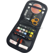 Naaiset in een etui met ritssluiting met naalden, draad, knopen en schaar