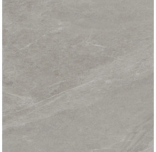 Grijze vloertegel met marmerstructuur