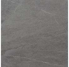 Grijze tegel met marmerlook.