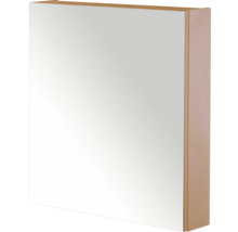 Spiegelkast voor badkamer