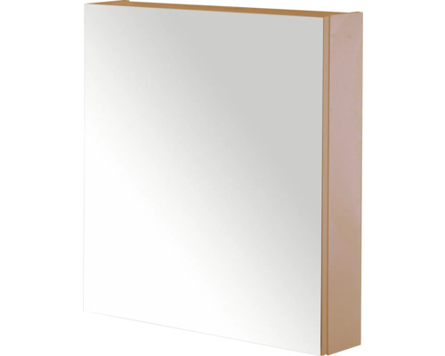 SANOX Spiegelkast met één deur dubbelzijdig 60x65x13 cm peach Spiegelkast voor badkamer