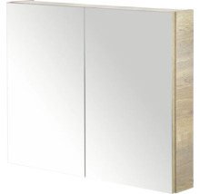 Spiegelkast met twee deuren voor de badkamer