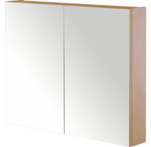 Spiegelkast met twee deuren