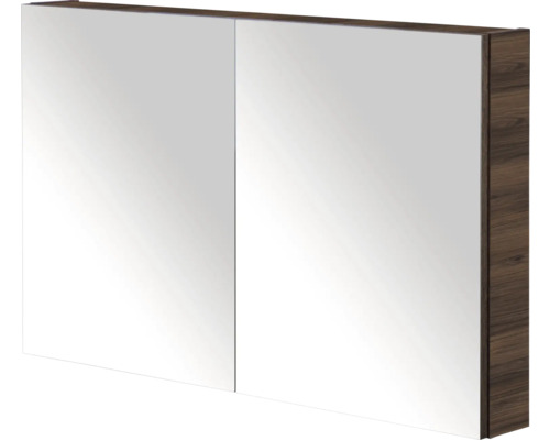 Spiegelkast met twee deuren