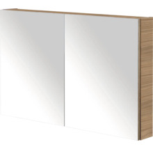Spiegelkast met twee deuren