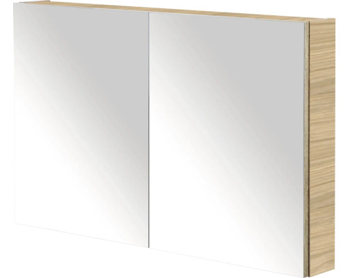 Spiegelkast met twee deuren en houtlook