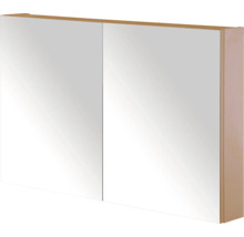 Spiegelkast met twee deuren voor de badkamer