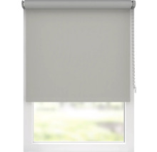 Raam met verduisterend rolgordijn